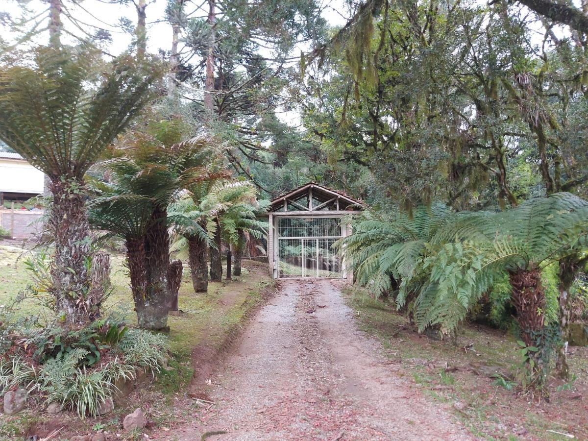 Sítio Dos Amigos Apartamento Canela Exterior foto